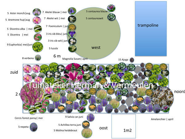 tuinontwerp laten maken beplantingsplan